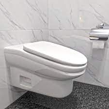 new toilet bathroom repair st paul